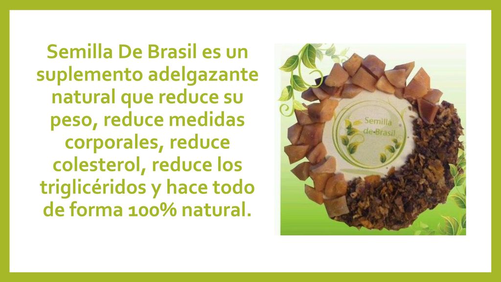 Semilla De Brasil es un suplemento adelgazante natural que reduce su peso, reduce medidas corporales, reduce colesterol, reduce los triglicéridos y hace todo de forma 100% natural.
