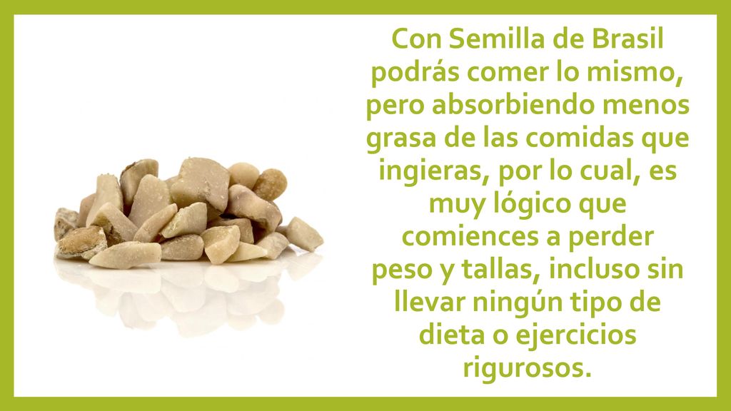 Con Semilla de Brasil podrás comer lo mismo, pero absorbiendo menos grasa de las comidas que ingieras, por lo cual, es muy lógico que comiences a perder peso y tallas, incluso sin llevar ningún tipo de dieta o ejercicios rigurosos.