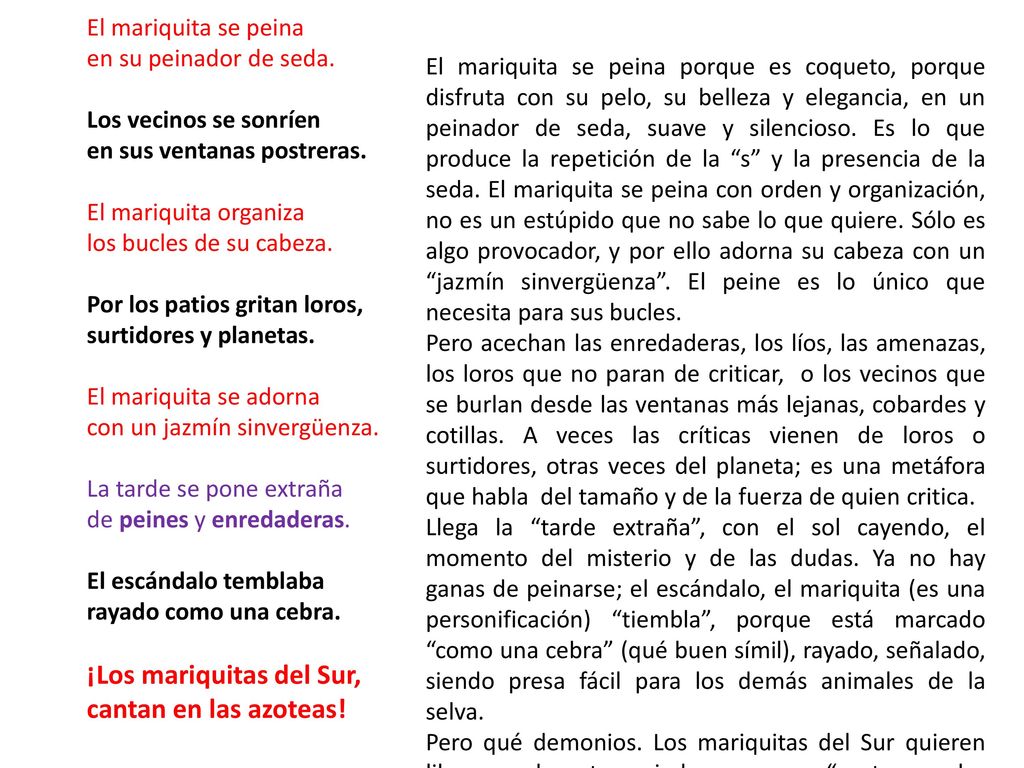 El mariquita se peina en su peinador de seda