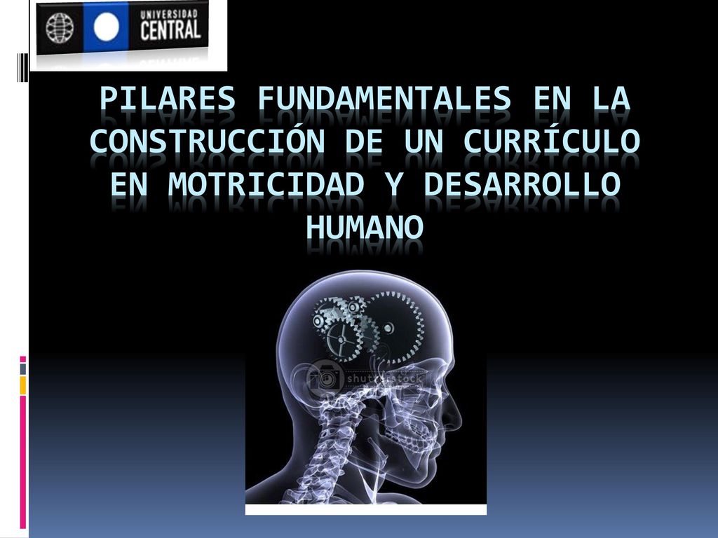 Pilares fundamentales en la construcción de un currículo en Motricidad y Desarrollo humano