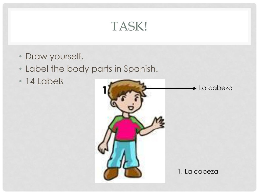 Task! 1. Draw yourself. Label the body parts in Spanish. 14 Labels