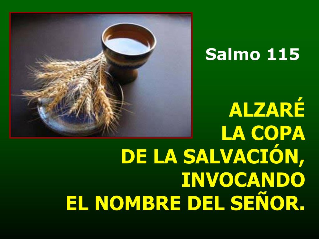 ALZARÉ LA COPA DE LA SALVACIÓN, INVOCANDO EL NOMBRE DEL SEÑOR.