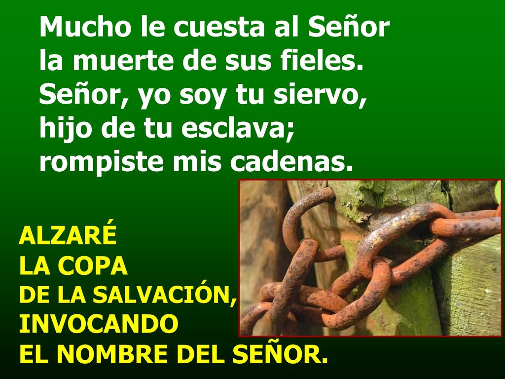 Mucho le cuesta al Señor la muerte de sus fieles