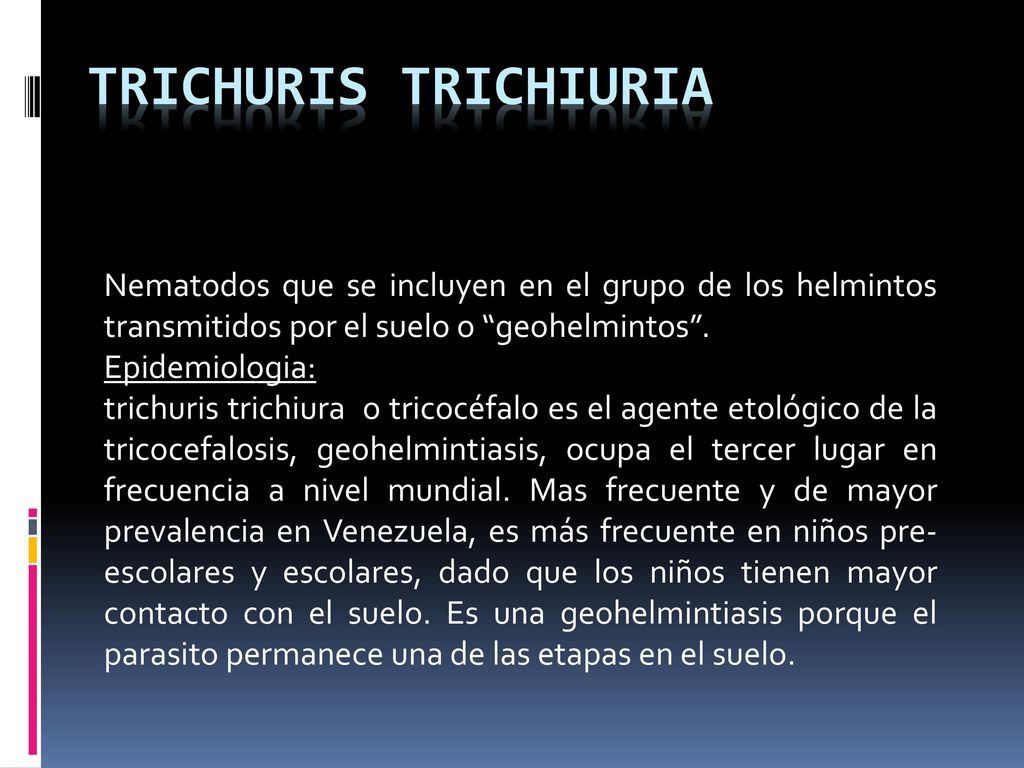 Trichuris trichiuria Nematodos que se incluyen en el grupo de los helmintos transmitidos por el suelo o geohelmintos .