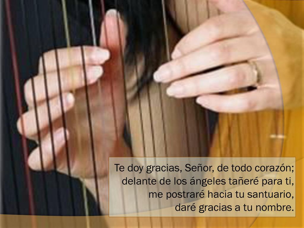 Te doy gracias, Señor, de todo corazón; delante de los ángeles tañeré para ti, me postraré hacia tu santuario, daré gracias a tu nombre.