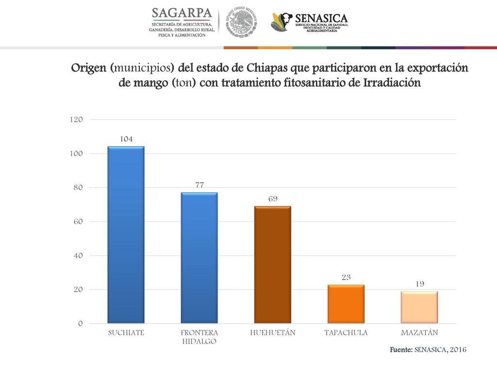 Origen (municipios) del estado de Chiapas que participaron en la exportación de mango (ton) con tratamiento fitosanitario de Irradiación