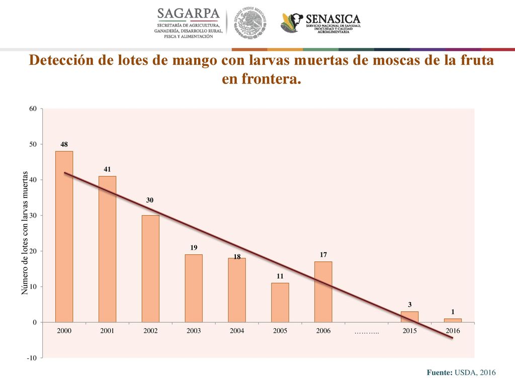 Detección de lotes de mango con larvas muertas de moscas de la fruta en frontera.