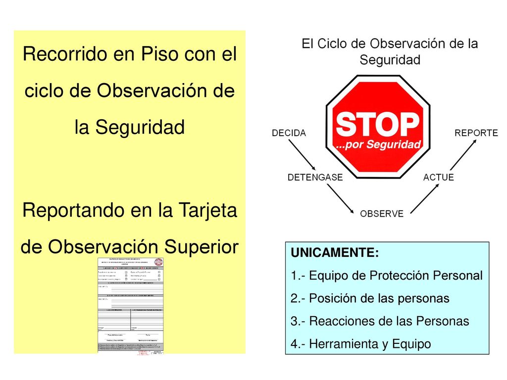 Recorrido en Piso con el ciclo de Observación de la Seguridad