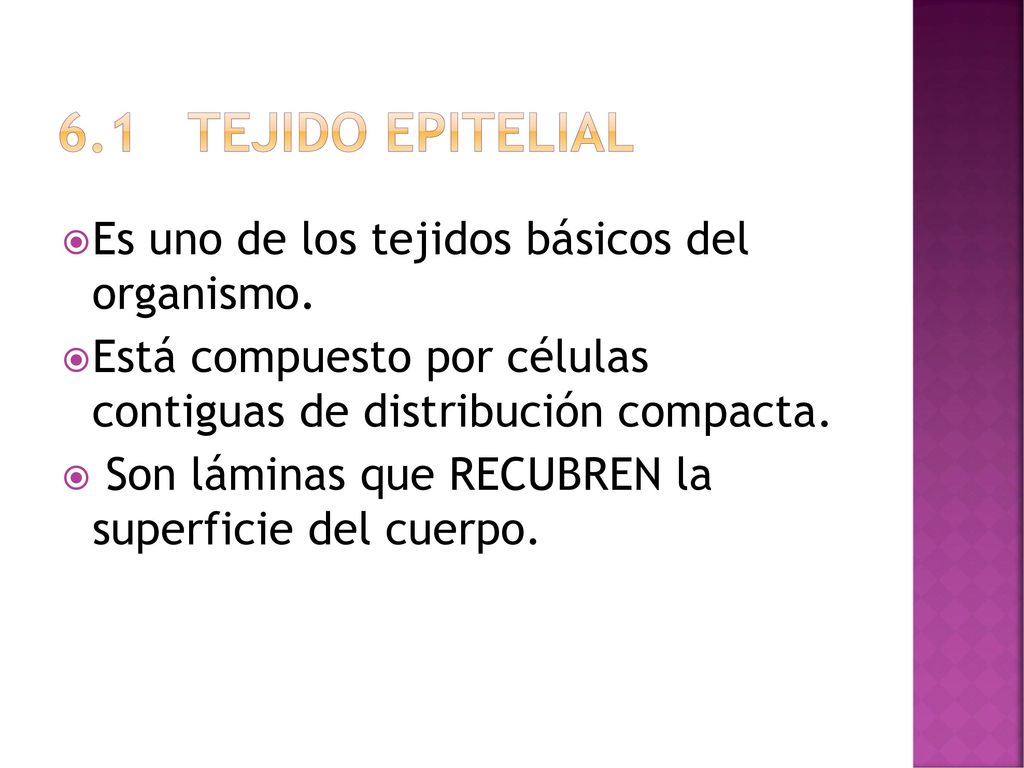 6.1 TEJIDO EPITELIAL Es uno de los tejidos básicos del organismo.