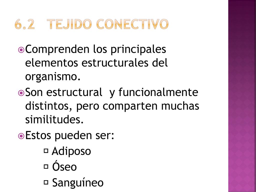 6.2 TEJIDO CONECTIVO Comprenden los principales elementos estructurales del organismo.
