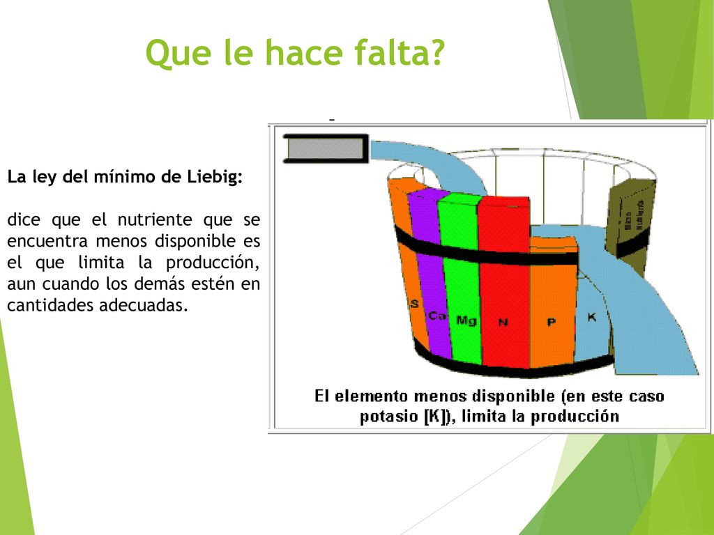 Que le hace falta La ley del mínimo de Liebig: