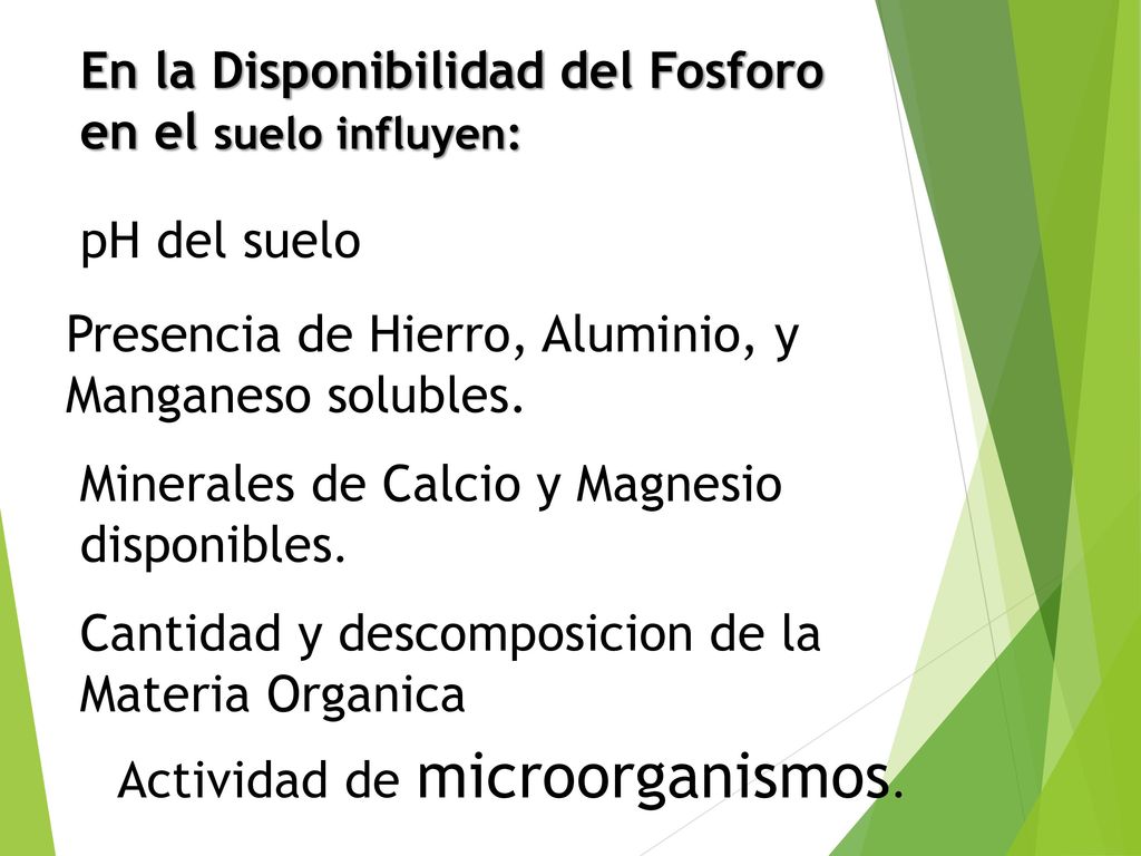 En la Disponibilidad del Fosforo en el suelo influyen: