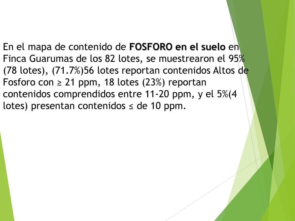 En el mapa de contenido de FOSFORO en el suelo en Finca Guarumas de los 82 lotes, se muestrearon el 95% (78 lotes), (71.7%)56 lotes reportan contenidos Altos de Fosforo con ≥ 21 ppm, 18 lotes (23%) reportan contenidos comprendidos entre ppm, y el 5%(4 lotes) presentan contenidos ≤ de 10 ppm.