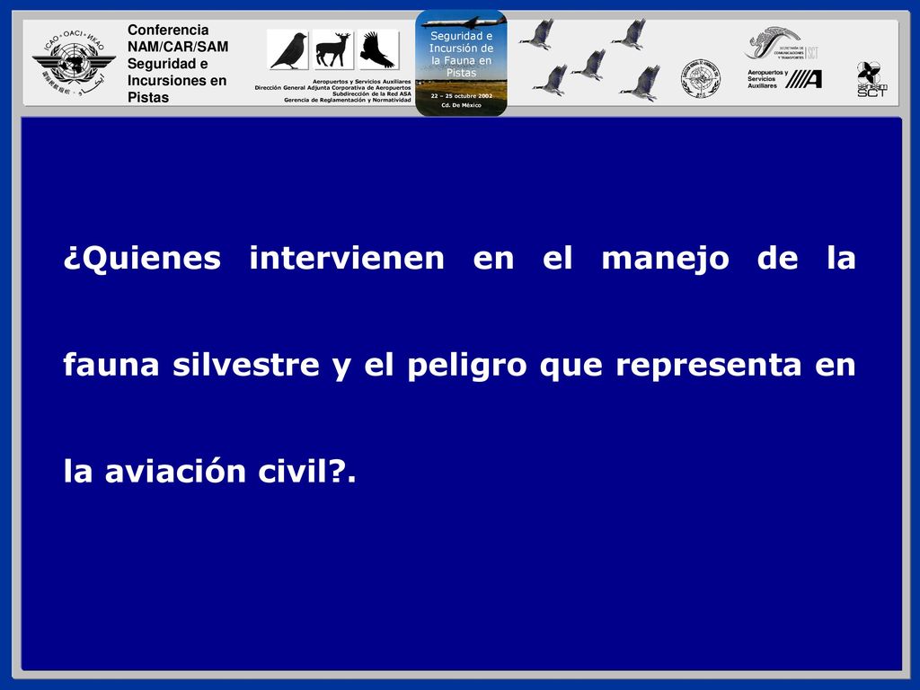 ¿Quienes intervienen en el manejo de la fauna silvestre y el peligro que representa en la aviación civil .