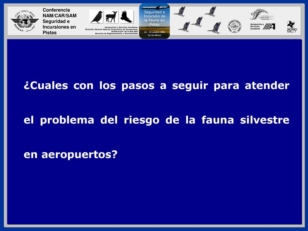 ¿Cuales con los pasos a seguir para atender el problema del riesgo de la fauna silvestre en aeropuertos