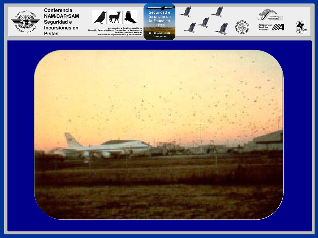 Todo el personal de un aeropuerto debe estar entrenado para reconocer y reportar al personal encargado de control de fauna silvestre sobre aquellos aspectos que representan un riesgo para la aviación.
