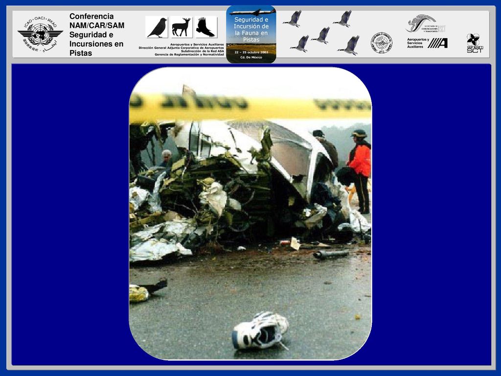 El aterrizaje de un Learjet 60 en el Aeropuerto municipal de Alabama el 14 de Enero del 2001 chocó con dos venados cola blanca.