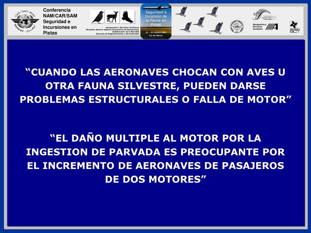 CUANDO LAS AERONAVES CHOCAN CON AVES U OTRA FAUNA SILVESTRE, PUEDEN DARSE PROBLEMAS ESTRUCTURALES O FALLA DE MOTOR