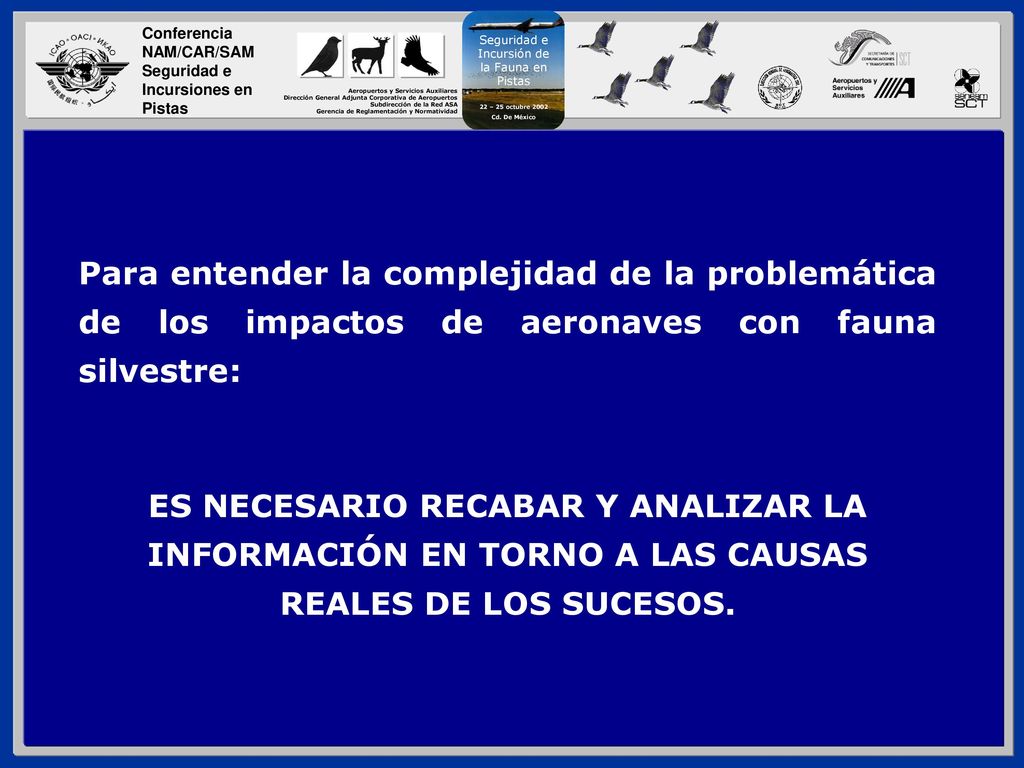 Para entender la complejidad de la problemática de los impactos de aeronaves con fauna silvestre:
