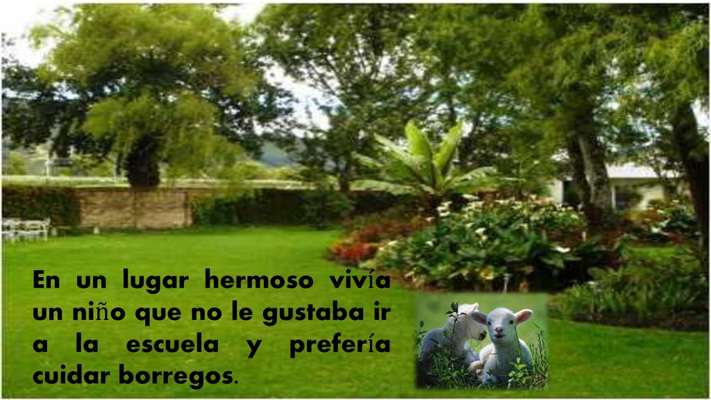 En un lugar hermoso vivía un niño que no le gustaba ir a la escuela y prefería cuidar borregos.