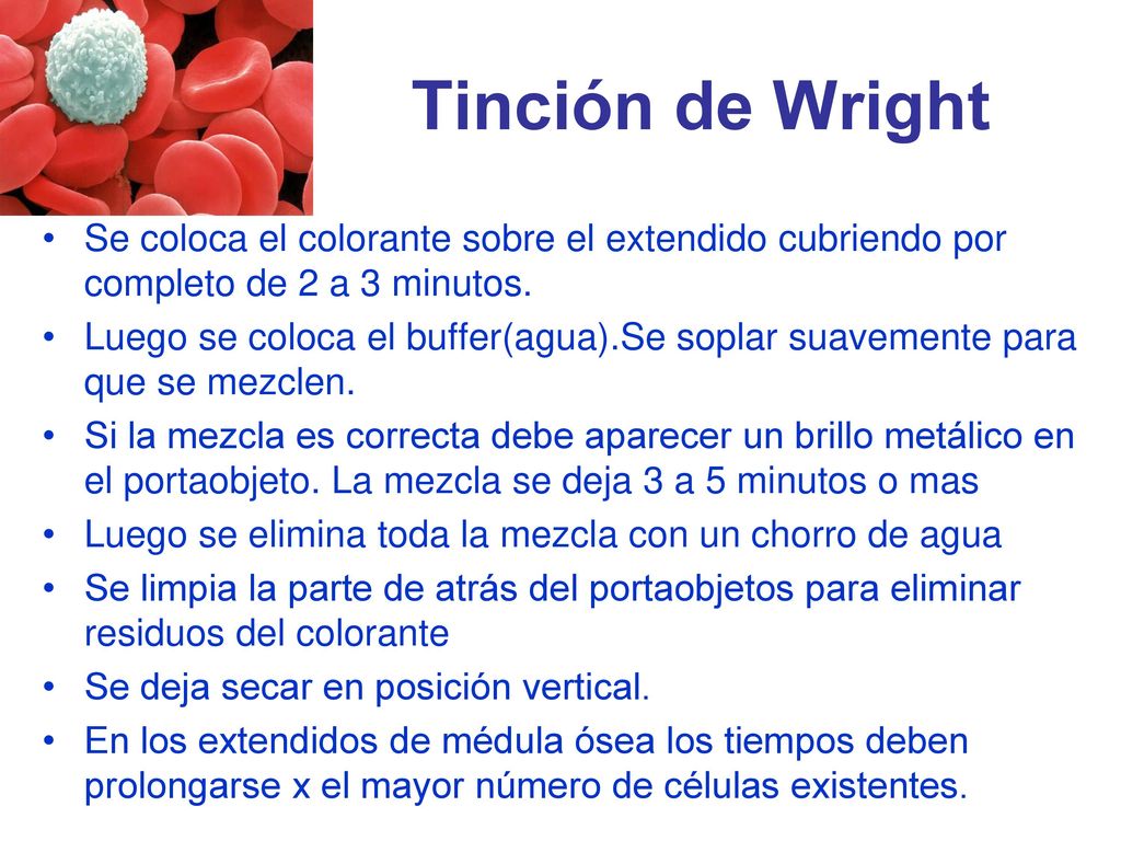 Tinción de Wright Se coloca el colorante sobre el extendido cubriendo por completo de 2 a 3 minutos.