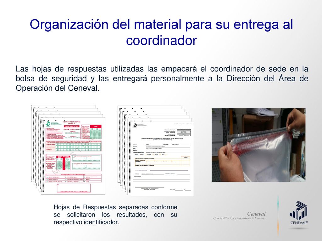 Organización del material para su entrega al coordinador
