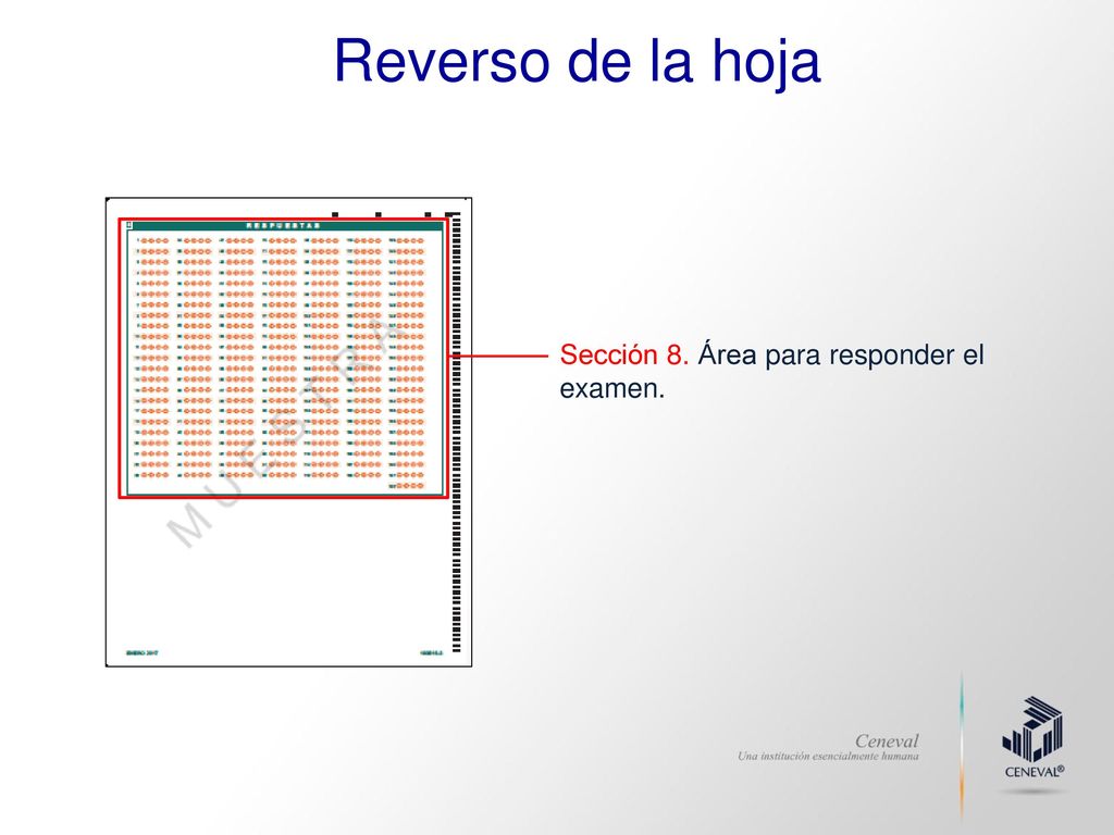 Reverso de la hoja Sección 8. Área para responder el examen.