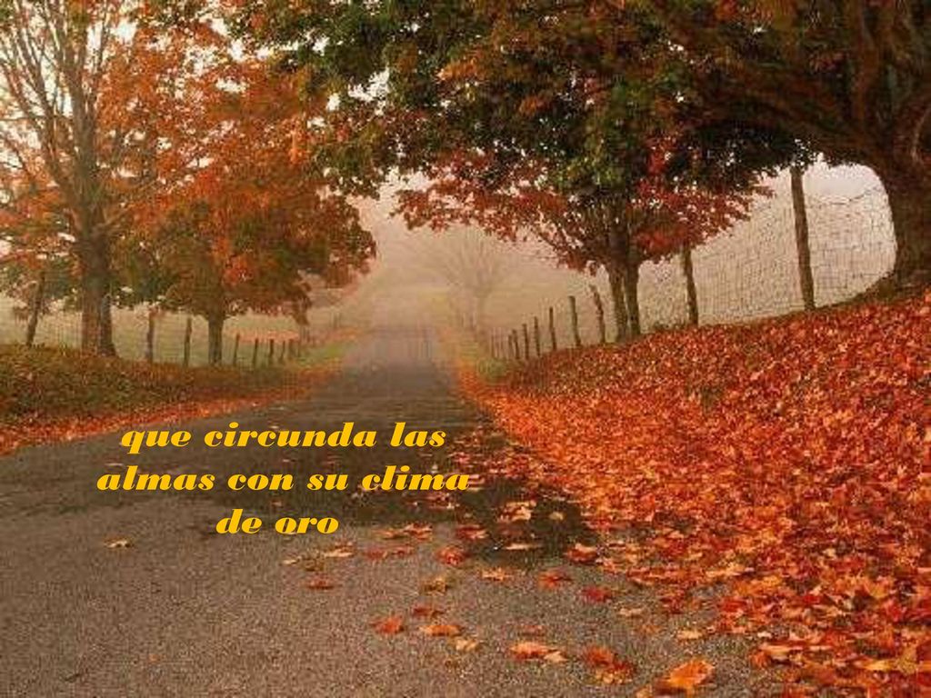 que circunda las almas con su clima de oro