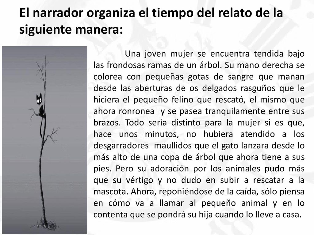 El narrador organiza el tiempo del relato de la siguiente manera: