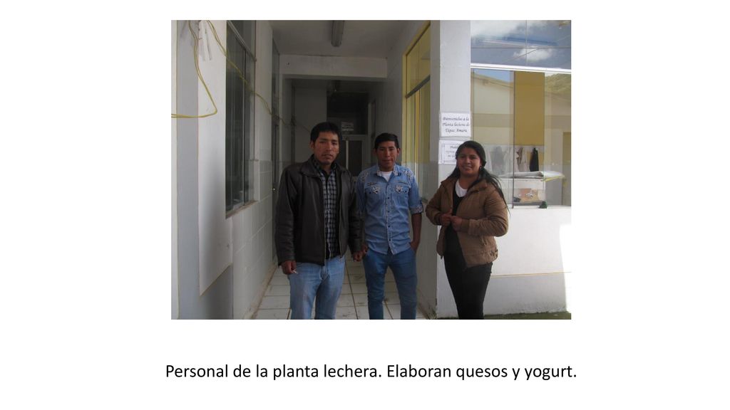 Personal de la planta lechera. Elaboran quesos y yogurt.