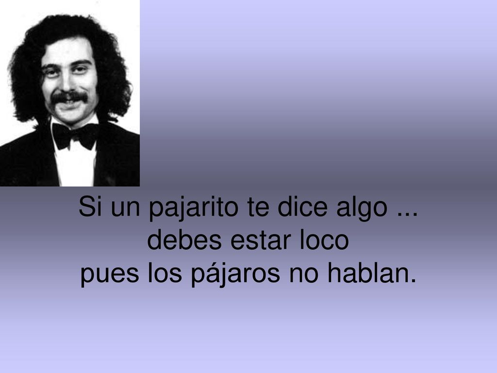 Si un pajarito te dice algo ... debes estar loco