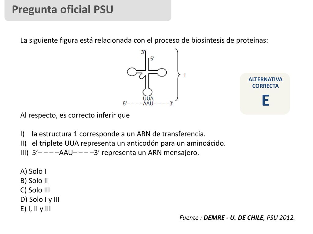 Pregunta oficial PSU La siguiente figura está relacionada con el proceso de biosíntesis de proteínas: