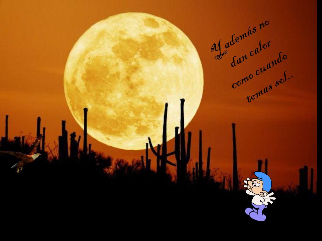 Y además no dan calor como cuando tomas sol..