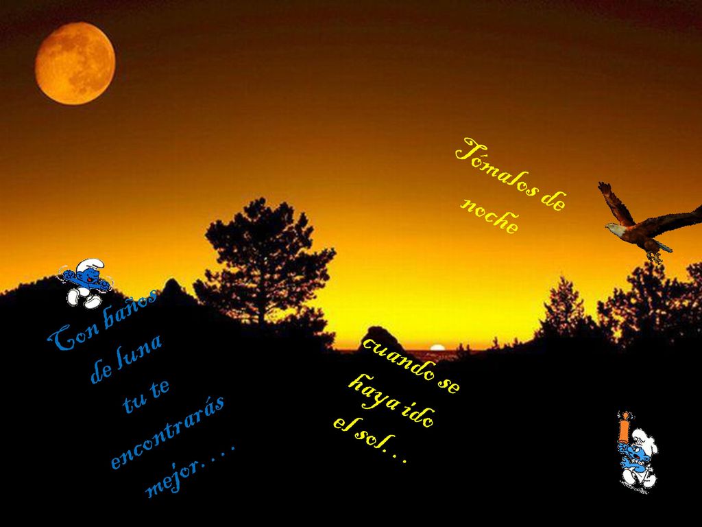 Tómalos de noche cuando se haya ido el sol… Con baños de luna tu te encontrarás mejor….