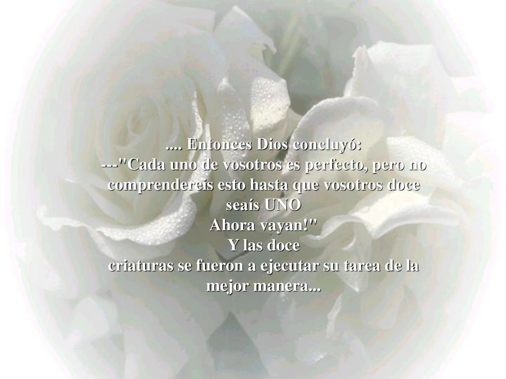 .... Entonces Dios concluyó: --- Cada uno de vosotros es perfecto, pero no comprendereis esto hasta que vosotros doce seaís UNO