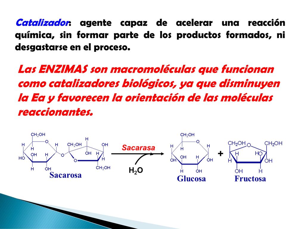 Catalizador: agente capaz de acelerar una reacción química, sin formar parte de los productos formados, ni desgastarse en el proceso.