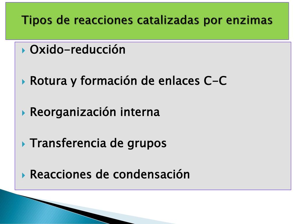 Tipos de reacciones catalizadas por enzimas