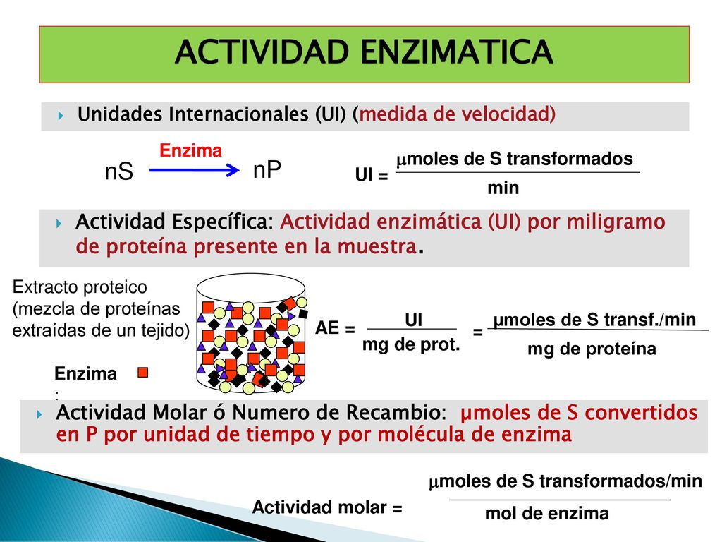 moles de S transformados mmoles de S transformados/min