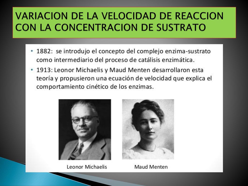 VARIACION DE LA VELOCIDAD DE REACCION CON LA CONCENTRACION DE SUSTRATO