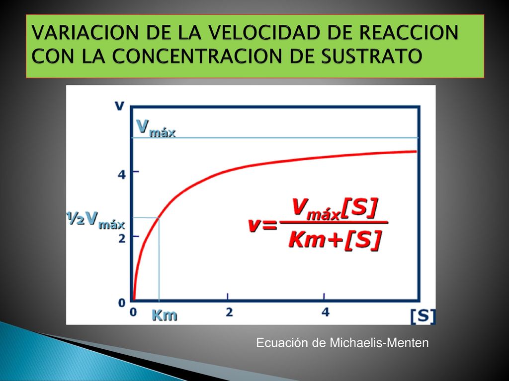 VARIACION DE LA VELOCIDAD DE REACCION CON LA CONCENTRACION DE SUSTRATO