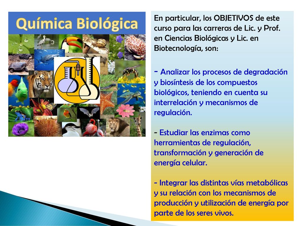 En particular, los OBJETIVOS de este curso para las carreras de Lic
