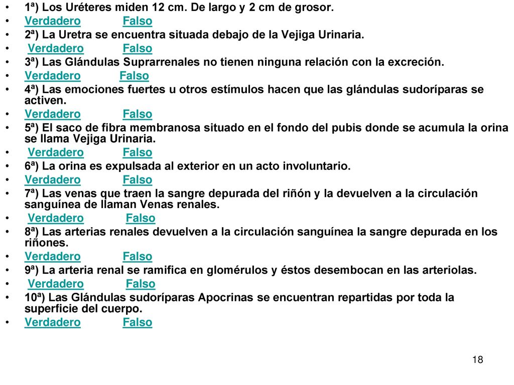 1ª) Los Uréteres miden 12 cm. De largo y 2 cm de grosor.