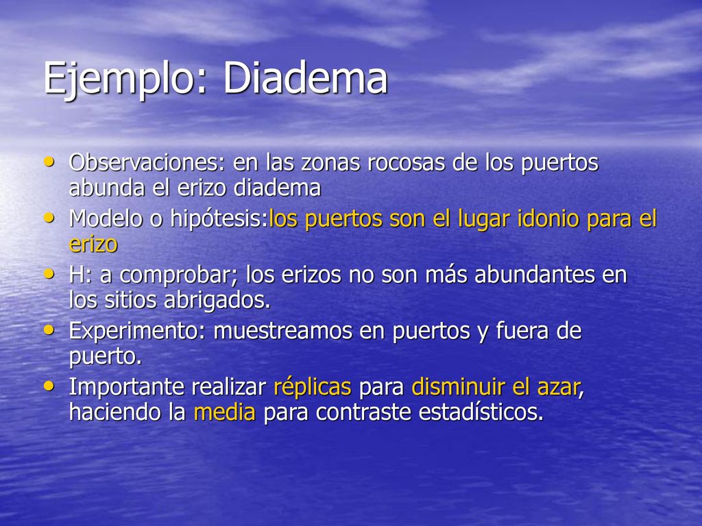 Ejemplo: Diadema Observaciones: en las zonas rocosas de los puertos abunda el erizo diadema.