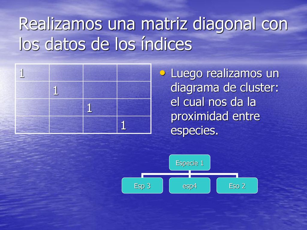 Realizamos una matriz diagonal con los datos de los índices