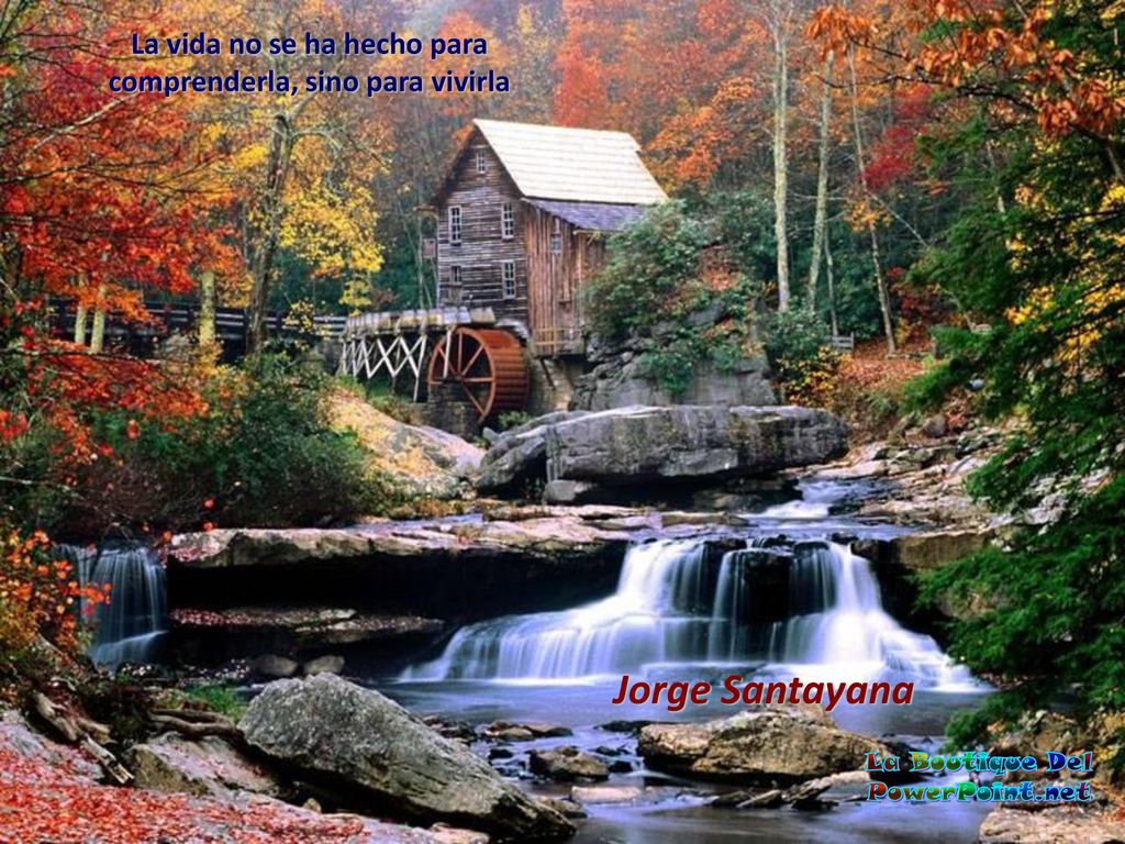La vida no se ha hecho para comprenderla, sino para vivirla