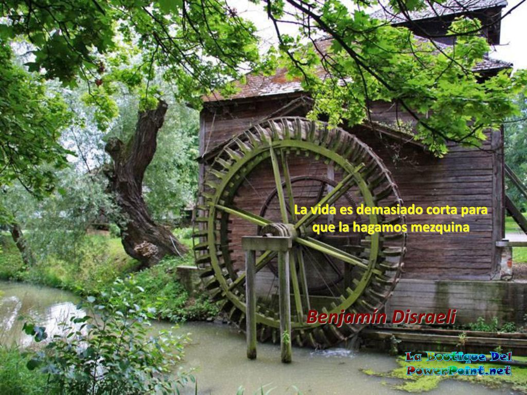 La vida es demasiado corta para que la hagamos mezquina