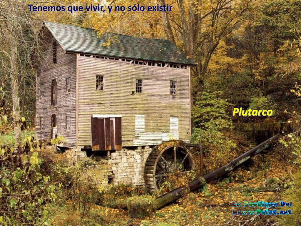Tenemos que vivir, y no sólo existir La Boutique Del PowerPoint.net