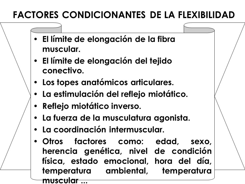 FACTORES CONDICIONANTES DE LA FLEXIBILIDAD