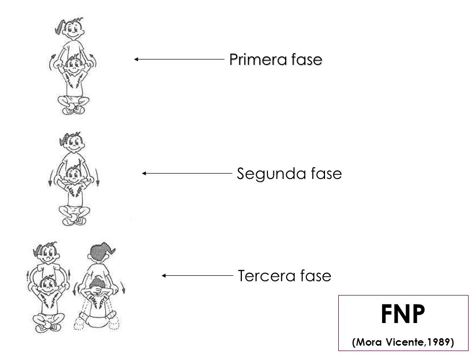 FNP (Mora Vicente,1989) Primera fase Segunda fase Tercera fase