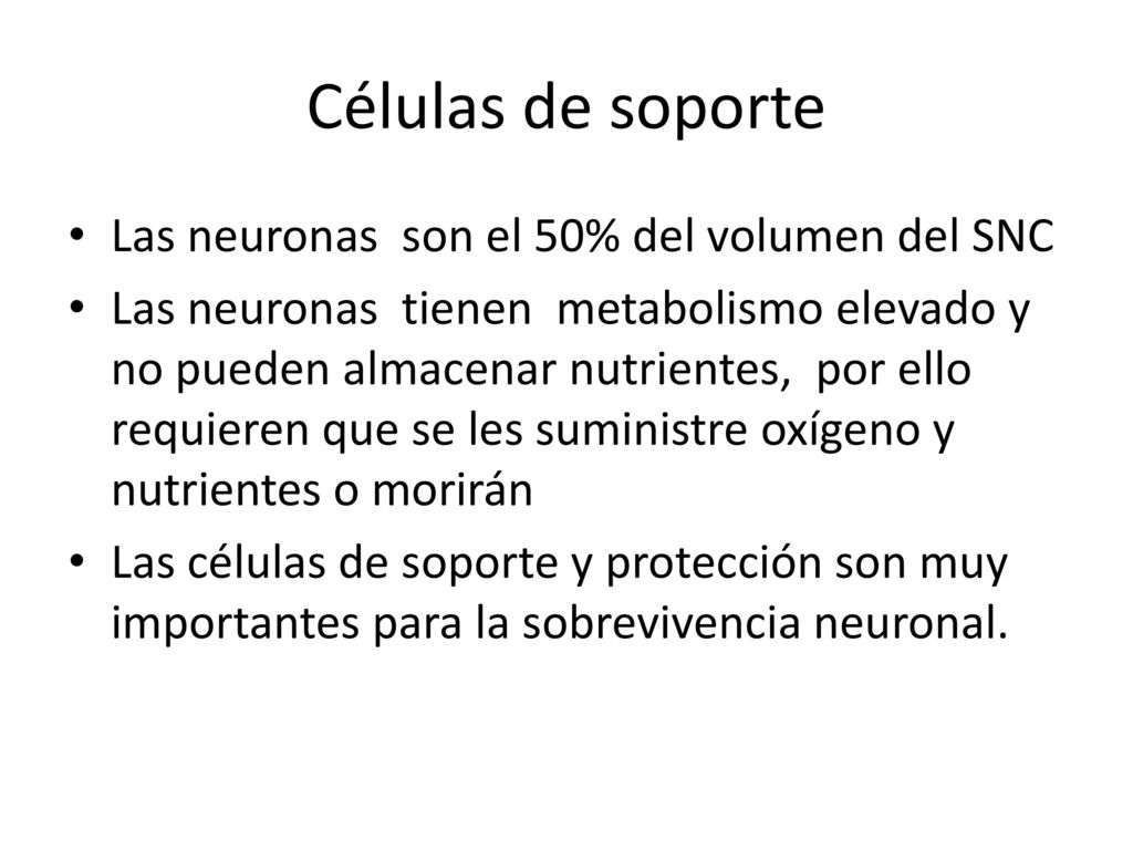 Células de soporte Las neuronas son el 50% del volumen del SNC